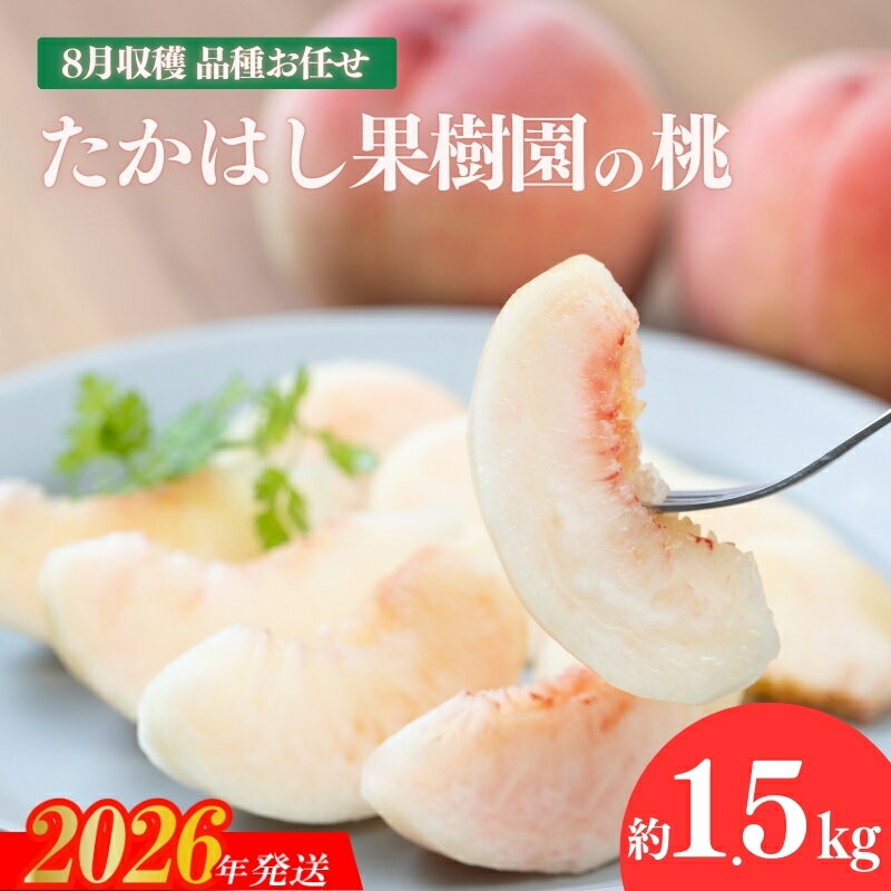 【ふるさと納税】No.1905たかはし果樹園の桃　8月収穫 福島市産 白桃 品種 おまかせ (白鳳、あかつき、まどか、よさこい桃、川中島白桃、ゆうぞら ) 約1.5kg【2026年発送 先行予約】