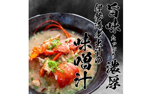 【伊勢海老】 活き伊勢海老1.6kg以上