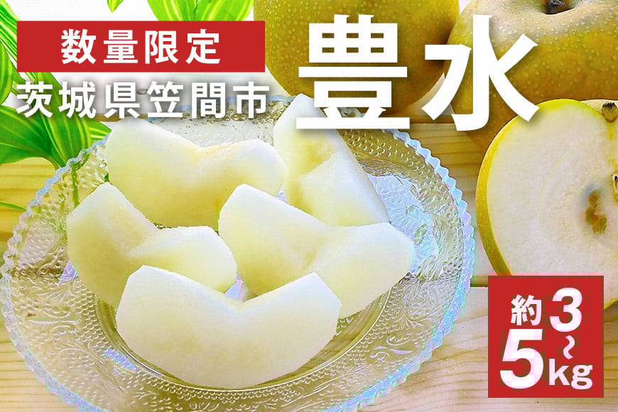 
                  【先行予約】【数量限定】 梨 「豊水」 3kg 5kg 6～16個入り 2L～5L サイズ 大玉 柴沼梨園 なし 茨城 豊水梨 和梨 秋 旬 フルーツ 果物 秋の味覚 旬の果物 くだもの 産地 茨城県 家庭用 贈答用 ギフト 産地直送 送料無料【9月上旬から発送】
                