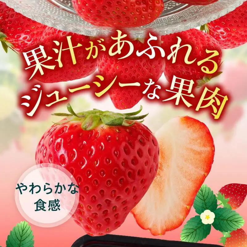 大粒厳選(1粒20g以上)!さぬきひめいちご 約1kg【2027-3月上旬～2027-3月下旬配送】