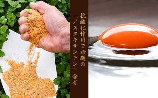 【2026年9月10日頃発送】卵 美幸卵 50個（割れ保証10個含む）※配送不可 沖縄・離島 たまご 玉子 山形 板垣養鶏場　013-G-BK006-09 ●2026年9月10日頃発送