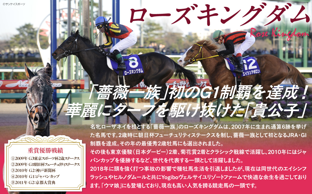 【ローズキングダム】【御守り】たてがみ入り牧柵利用　勝守り BRTV251