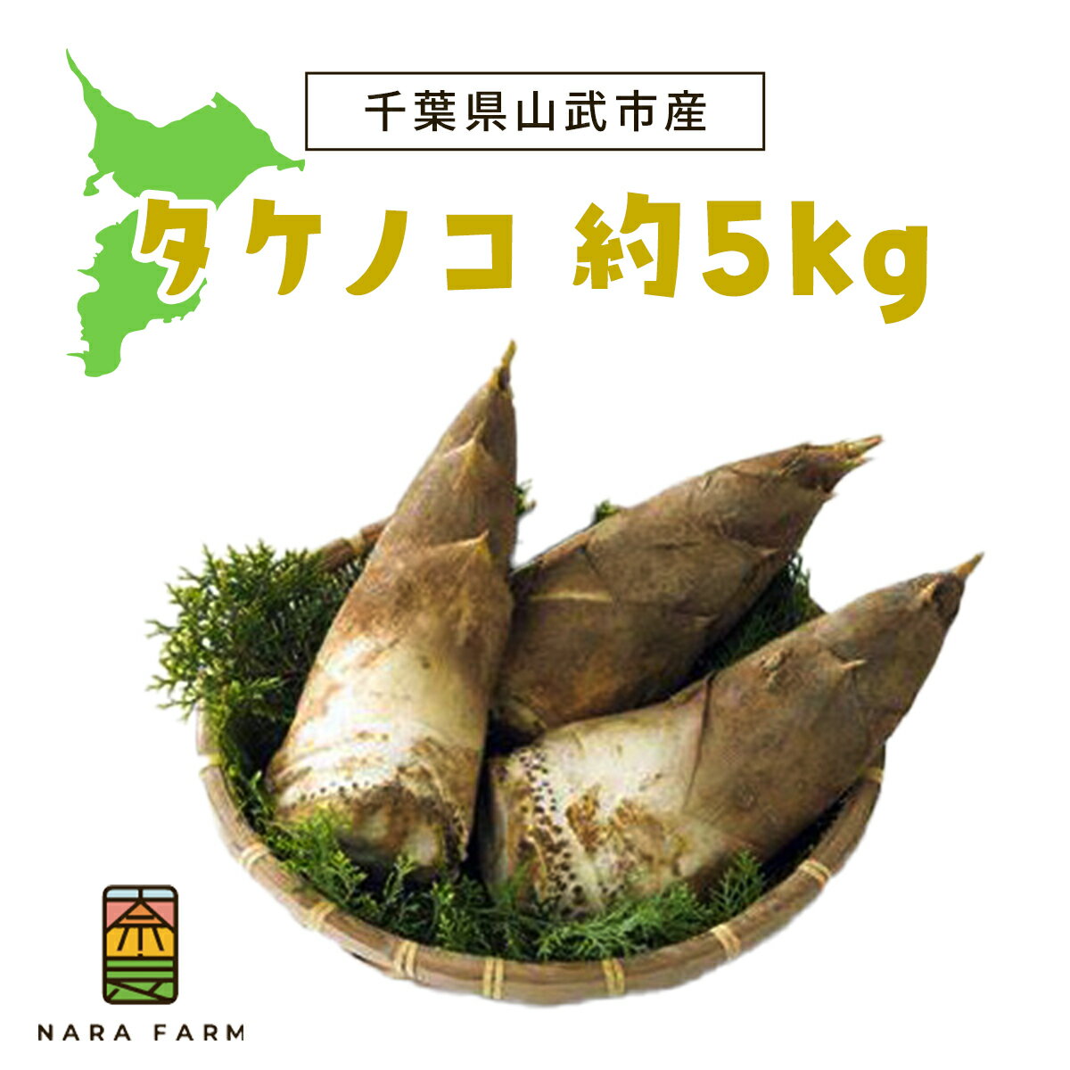 【ふるさと納税】【先行予約】【4月上旬から発送】タケノコ 約5kg【 ふるさと納税 人気 おすすめ ランキング 筍 山菜 タケノコ 野菜 やさい お取り寄せ ご当地 特産品 千葉県 山武市 送料無料 】 SMAF003