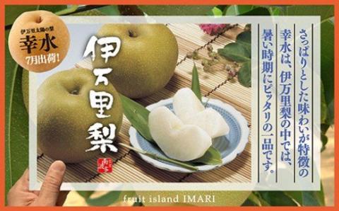 【2026年産先行予約】伊万里梨「幸水」化粧箱入 約2.5kg 178-B159