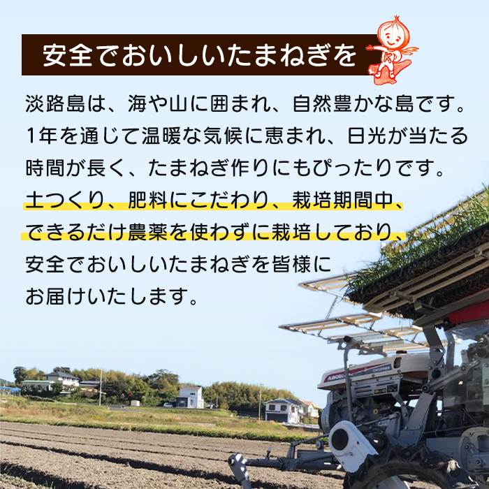 【新たまねぎ】淡路島たまねぎ 歩-AYUMU-と淡路島たまねぎ含