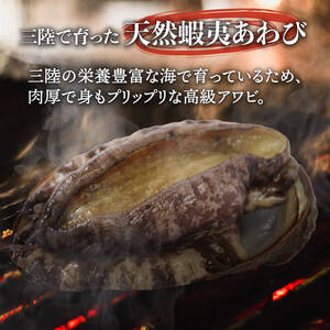 活エゾアワビ 約500g 冷蔵 鮑