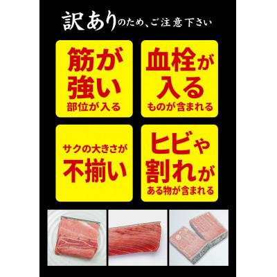 ふるさと納税 いわき市 【毎月定期便】本マグロ訳あり中トロ 真空包装 [約700g(3〜5ブロック)]全3回 |  | 03