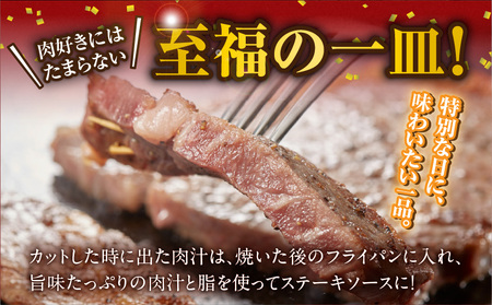 宮崎牛ロースステーキ2枚(合計400g)_MJ-N303_(都城市) 宮崎県 都城市産 宮崎牛 ロース ステーキ 霜降り