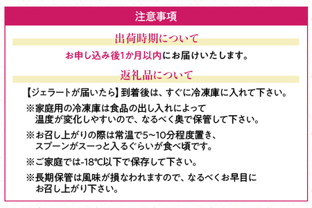 福岡産 あまおうジェラート 1000ml あまおう イチゴ いちご ジェラート スイーツ 果物 フルーツ アイス 送料無料 高級 お返し プレゼント 御見舞 お取り寄せ ストロベリー 苺