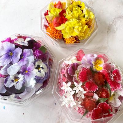 ふるさと納税 伊勢原市 【毎月定期便】加藤さんちのエディブルフラワー3パック (1パックあたり季節のお花15〜30輪)全3回 |  | 03