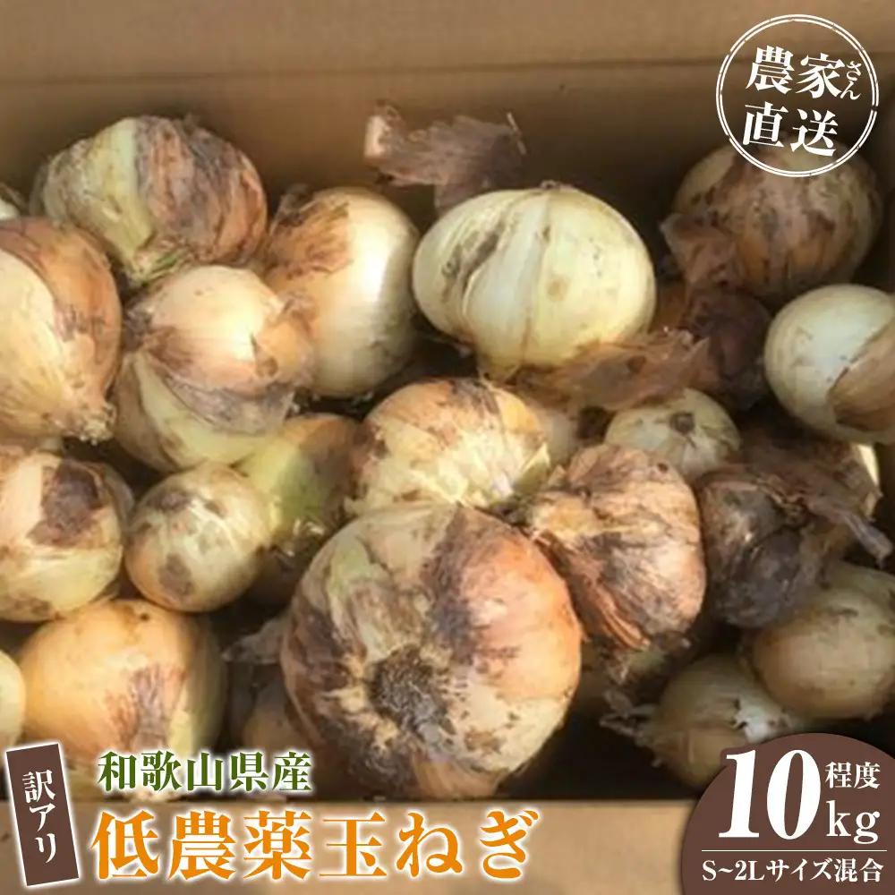 ［2026年発送分・先行予約］訳あり 農家さん直送 低農薬玉ねぎ 10kg程度 S～2L混合［4月中旬～7月中旬頃発送予定］ご家庭用 ※傷有り［KF14］