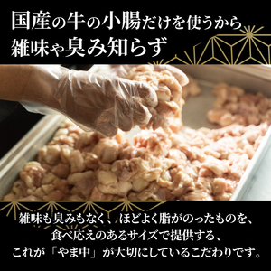 もつ鍋味噌｜もつ鍋 AJK