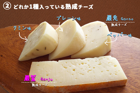 雫石チーズ工房のふるさと納税セット【7種】 ／ チーズ ストリングチーズ 熟成チーズ スカモルツァ 焼けるチーズ カマンベールチーズ