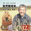 【ふるさと納税】＜令和6年産新米＞北海道厚真町産　農薬不使用・自然栽培の角田玄米　5kg（ななつぼし)定期便1年コース