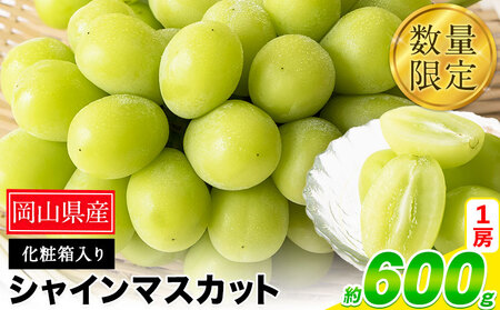 秀品 シャインマスカット 約600g 1房 ぶどう マスカット
