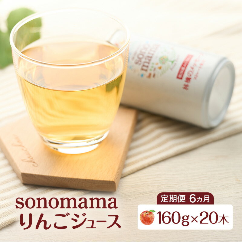 【ふるさと納税】《 定期便 6ヵ月 》りんごジュース「sonomama」（160g×20本）りんご リンゴ ジュース リンゴジュース 飲料