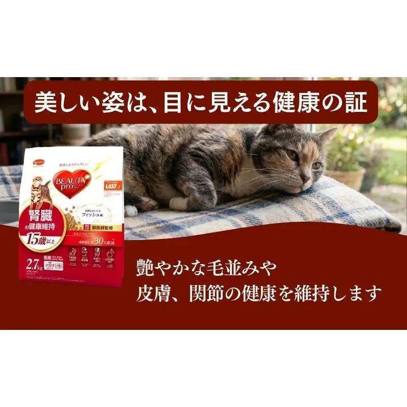 ビューティープロ キャット 腎臓の健康維持 15歳以上 2.7kg ｘ4(ケース単位) キャットフード