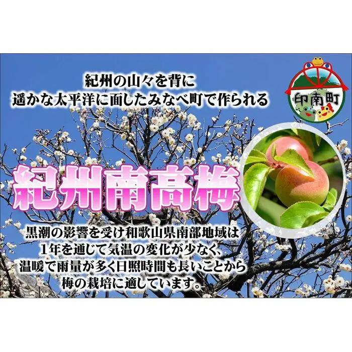 みかんこい梅　100g×5個
