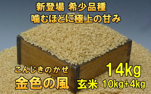 【令和6年産】【玄米14kg】新登場の高級米 岩手県奥州市産 金色の風  玄米14kg（10kg＋4kg） [AC032]