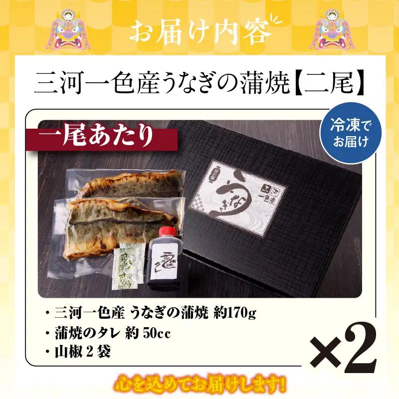 三河一色産うなぎの蒲焼２尾_47-318-1