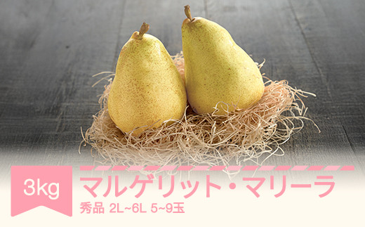 【先行予約】マルゲリット・マリーラ 2L-6L 秀品 3kg 洋梨 西洋梨 令和8年産 2026年産 果物 mm-mmsxx3