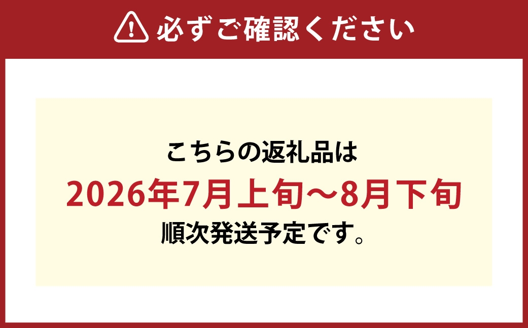 つる付きニューピオーネ2房（1房540g以上）ハウス栽培