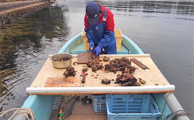 【ふるさと納税】天橋立 天然殻付きマガキ 2kg（約20～25個）【加熱用】魚貝類 牡蠣 カキ 天然 産地直送 焼き 蒸し 真牡蠣 日本酒 お取り寄せ グルメ 食品 食べ物 おつまみ 食材 贈り物