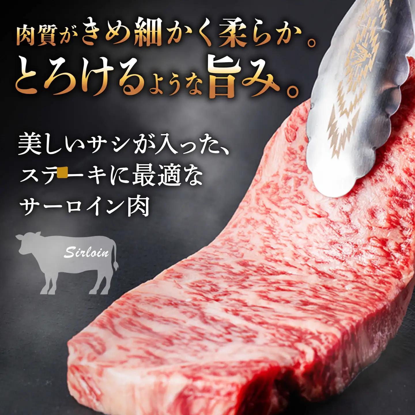 【10月発送】【飛騨牛】 A5等級 サーロイン ステーキ用 10枚 (計2.5kg) 和牛 ブランド牛 国産 牛肉 多治見市 / 渡辺精肉店 [TAZ003-10]