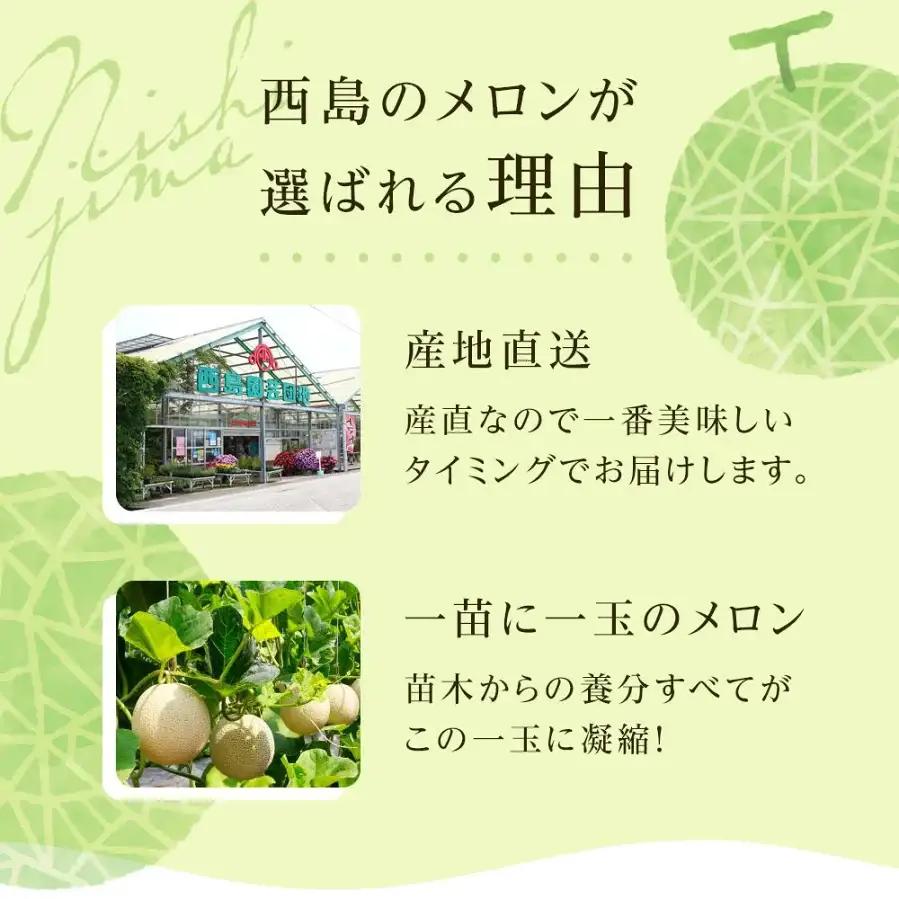 【先行予約】マスクメロン（贈答用） 4玉入 青肉品種 高級メロン！ ／ マスクメロン 果物 フルーツ ギフト 農家直送 NE028