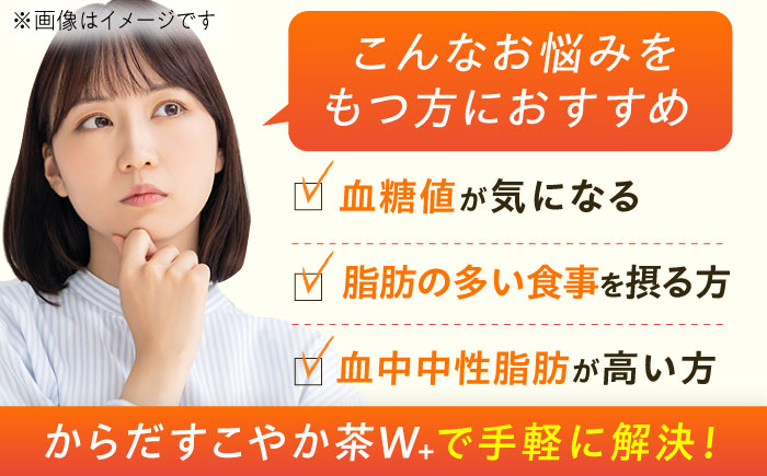 【全6回定期便】からだすこやか茶Ｗ+ 計144本（350ml×24本×6回） / お茶 / 佐賀県 / コカ・コーラボトラーズジャパン株式会社 [41AFAO024]