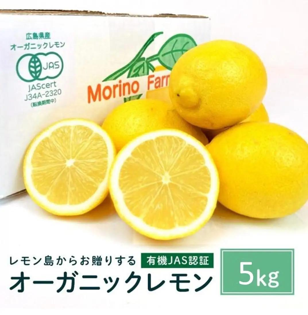【有機JAS認証】レモン島からお贈りするオーガニックレモン 5kg 有機レモン 2月以降発送予定 産直 国産 有機栽培