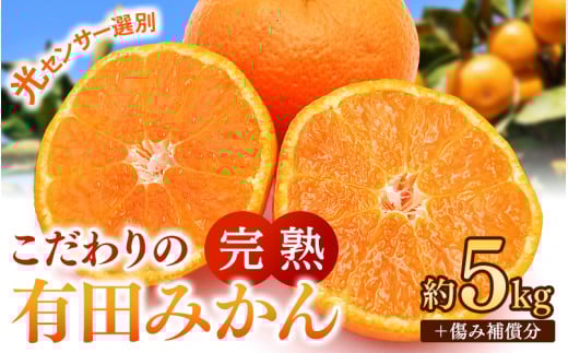 早期先行予約！  こだわりの有田みかん 約5kg＋250g(傷み補償分) 【ご家庭用】【12月発送】 光センサー選別品 農家直送品 ※北海道・沖縄・離島配送不可 / みかん 有田みかん 温州みかん 柑橘 果物 くだもの フルーツ 有田 和歌山 和歌山県産 産地直送 【nuk160-12B】