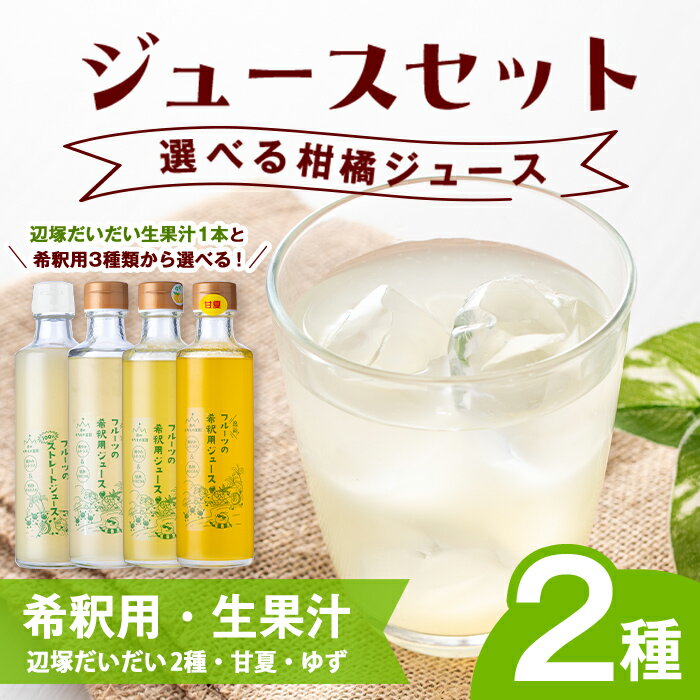【ふるさと納税】＜種類が選べる！＞希釈用・生果汁 ジュース セット 鹿児島 国産 フルーツ 果物 果実 果汁 ドリンク ストレートジュース 飲み比べ 辺塚だいだい みかん 蜜柑 甘夏 柚子 ゆず 柑橘 詰合せ ギフト プレゼント 【農地所有適格法人株式会社P＆Y'sLabo】