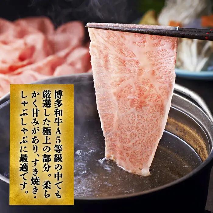 【全12回定期便】博多和牛 特選ロース 薄切り 500g VBK061