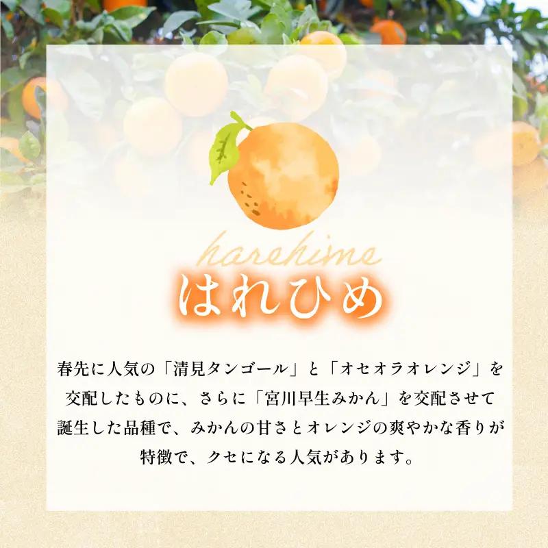 【先行予約】宗方印 はれひめ（家庭用）約2kg