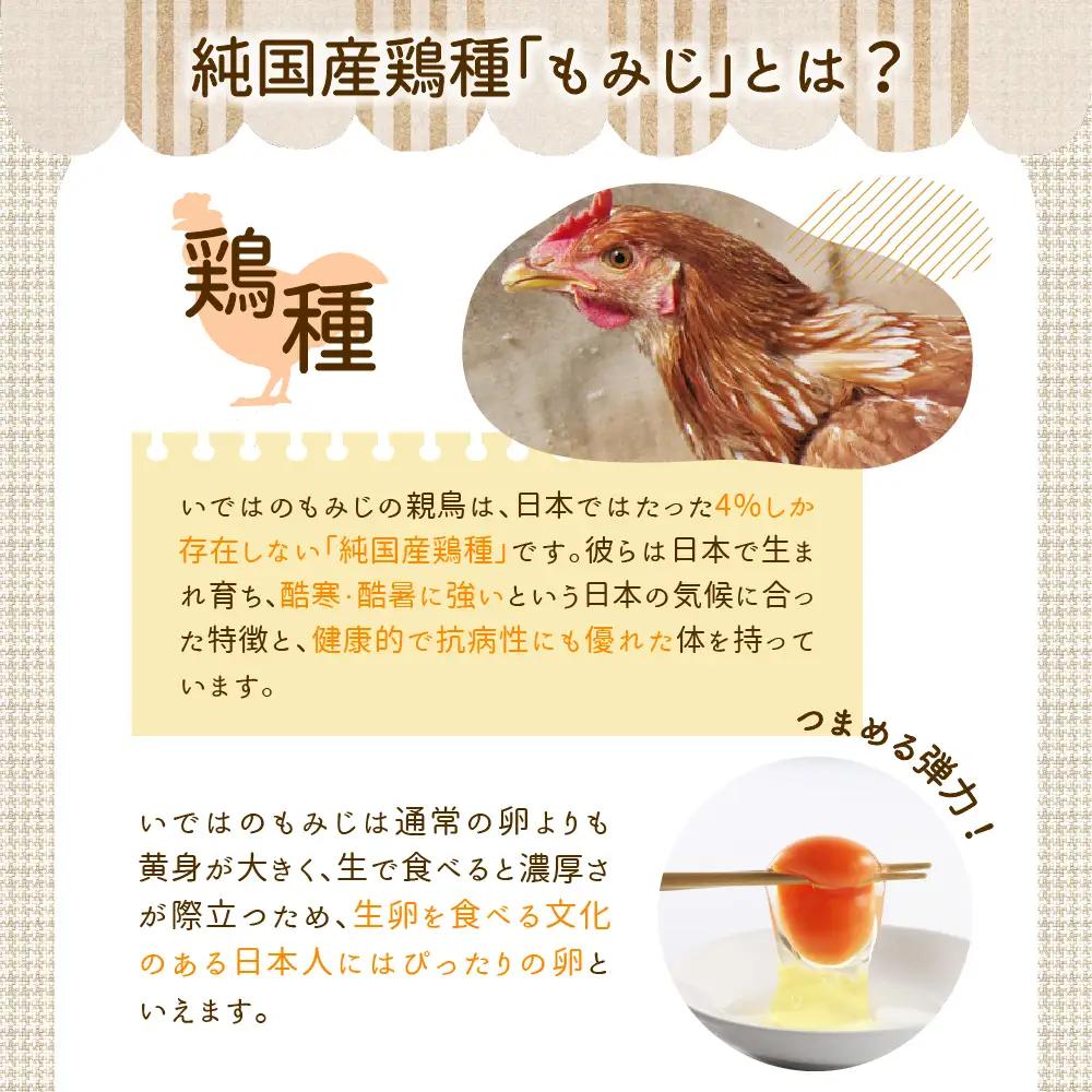 いではのもみじ紅25個入り（破損補償3個を含む）
