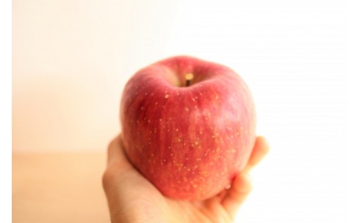 【2026年発送】太陽燦々☆サンふじりんご　約3kg（7～13玉）秀