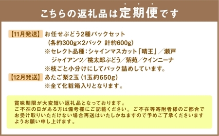 【 全6回定期便 】 岡山県産 フルーツ定期便＜お一人様向け＞ 白桃 ピオーネ シャインマスカット 果物 くだもの 果実 フルーツ ぶどう もも ブドウ モモ 葡萄 桃 なし ナシ 梨 化粧箱 贈り物