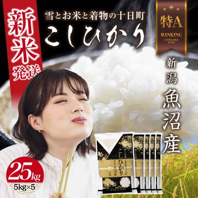 ふるさと納税 十日町市 令和7年産 魚沼産 コシヒカリ 25kg (お米の美味しい炊き方ガイド付き)