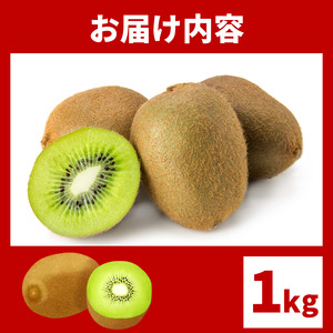 訳あり キウイ 9～12玉 1kg キウイ