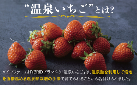 【1173】鳥取県産とっておき「温泉いちご」大きさいろいろ詰め合わせ 1キロ