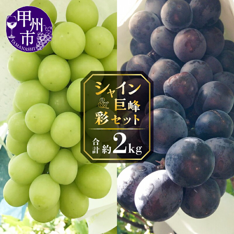 【ふるさと納税】 シャインマスカット 巨峰 2026年 先行予約 各2〜3房 約2kg セット 食べ比べ 種無し 厳選 旬 採れたて 期間限定 フルーツ 果物 くだもの 葡萄 ぶどう ブドウ 甘い デザート 新鮮 人気 山梨県産 甲州市産 8月 9月 発送 冷蔵 クール 社員マスカット 【C-151】