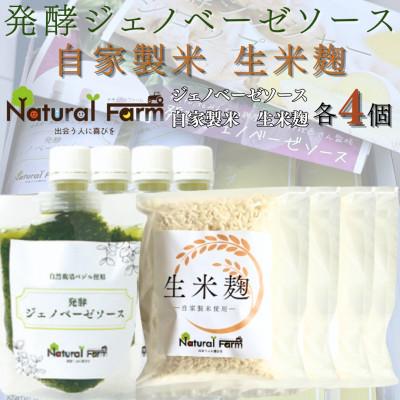 ふるさと納税 枕崎市 発酵ジェノベーゼソース&amp;生米麹　各4パックセット B2-4