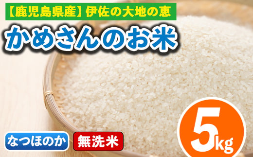 isa277 《数量限定》かめさんのお米(5kg・なつほのか・無洗米) ふるさと納税 伊佐市 特産品 国産 白米 精米 無洗米 伊佐米 お米 米 生産者 【Farm-K】