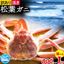 【ふるさと納税】 活き 訳あり 松葉ガニ カニ 選べる 800g 1kg 1杯 さんチョク《2024年11月中旬-2025年4月上旬頃出荷》鳥取県 八頭町 送料無料 蟹 かに 鍋 ズワイガニ ズワイ蟹 生 冷蔵