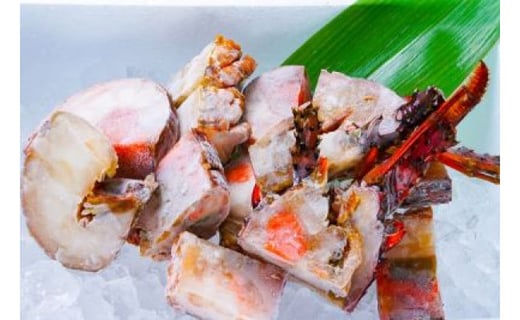 
                  冷凍伊勢海老カット約2ｋｇ（サイズ不揃い）
                