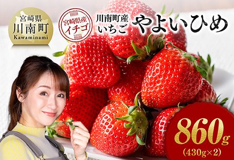川南町産いちご「やよいひめ」860ｇ（430ｇ×2） 【 期間限定 果物 イチゴ 苺 やよいひめ フルーツ 】[C11202]
