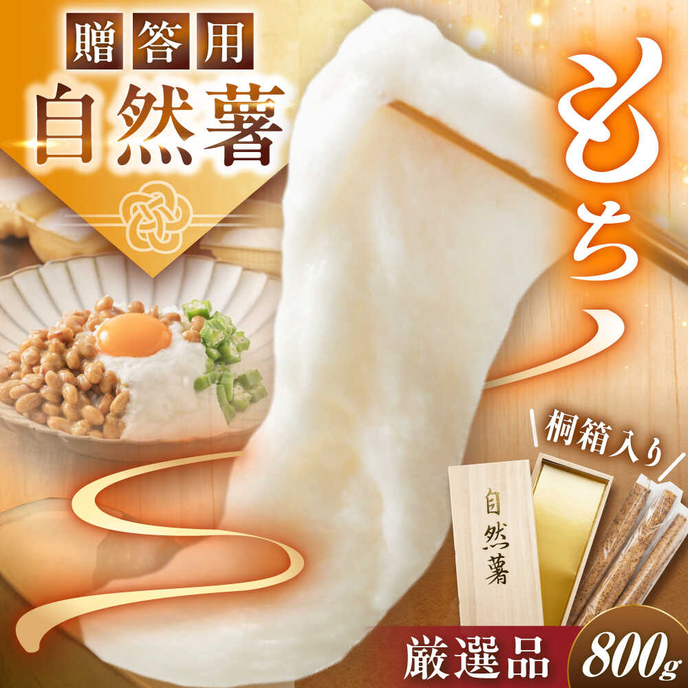 【ふるさと納税】【贈答用】高級自然薯 桐箱入（800g）/ 自然薯 じねんじょ 山芋 やまいも 贈答 / 恵那市 / 水戸屋[AUFZ008]