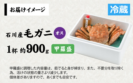 【甲羅盛】【成前特選】美味しさ直送！北陸産毛ガニ900ｇ前後×1杯（オス） [F-028009_02] / 毛ガニ