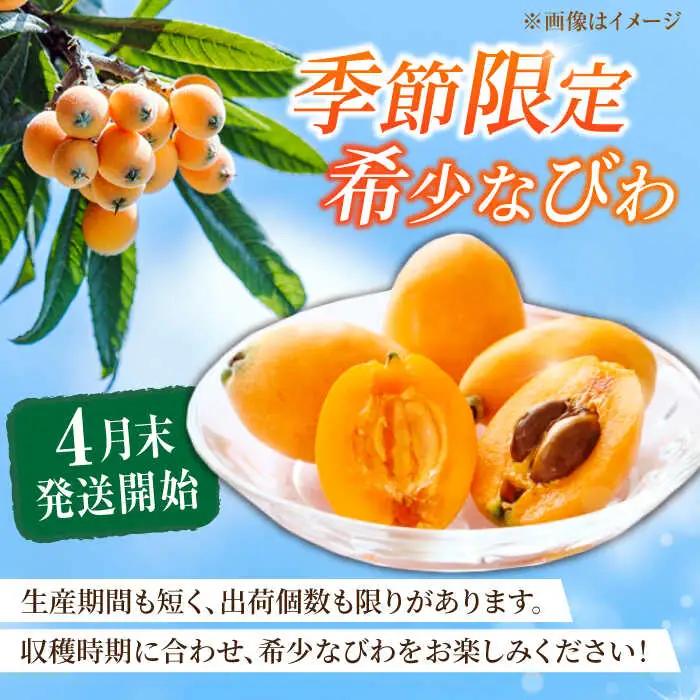 【★先行予約★ 2027年4月末発送開始】びわ 約250g(3-7個)×4パック / びわ [AFAB002]